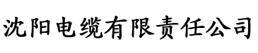 菠萝视频在线播放电缆厂logo